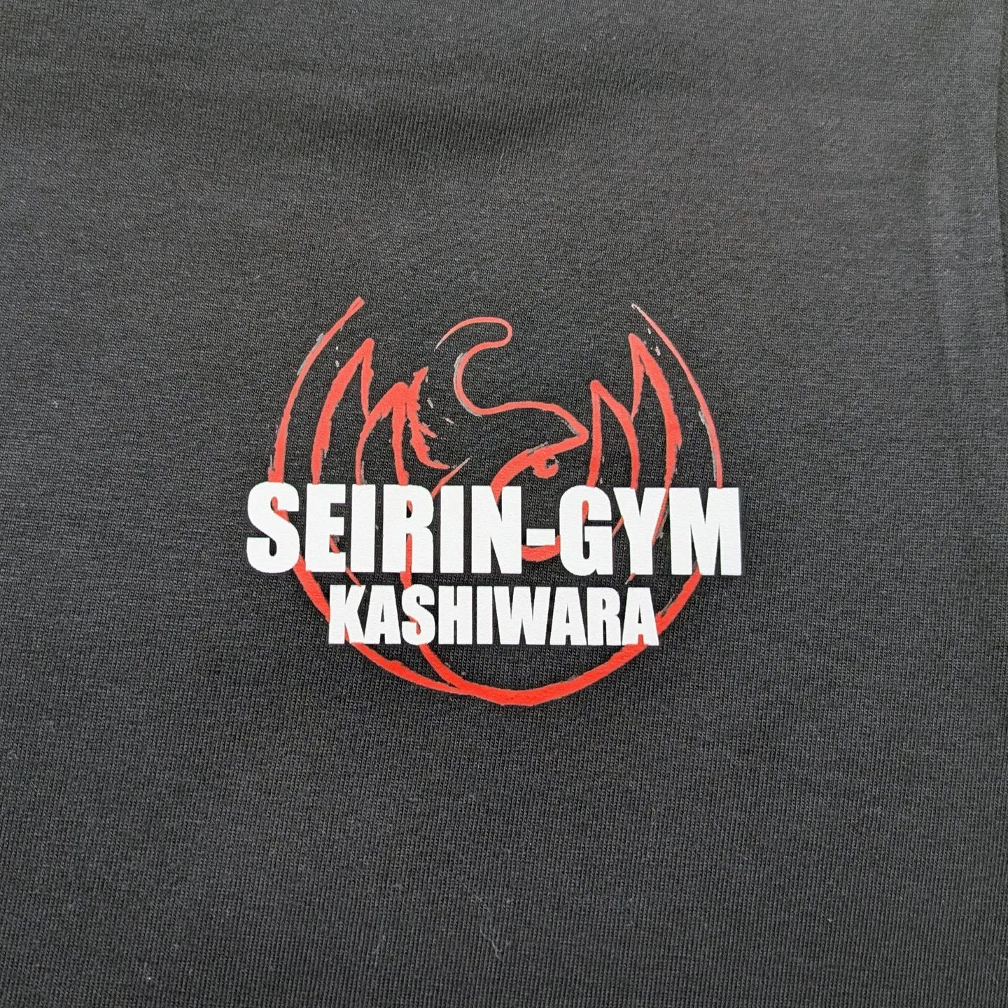 小ロット金銀プリント高い？DTFで格安メタリック風実現