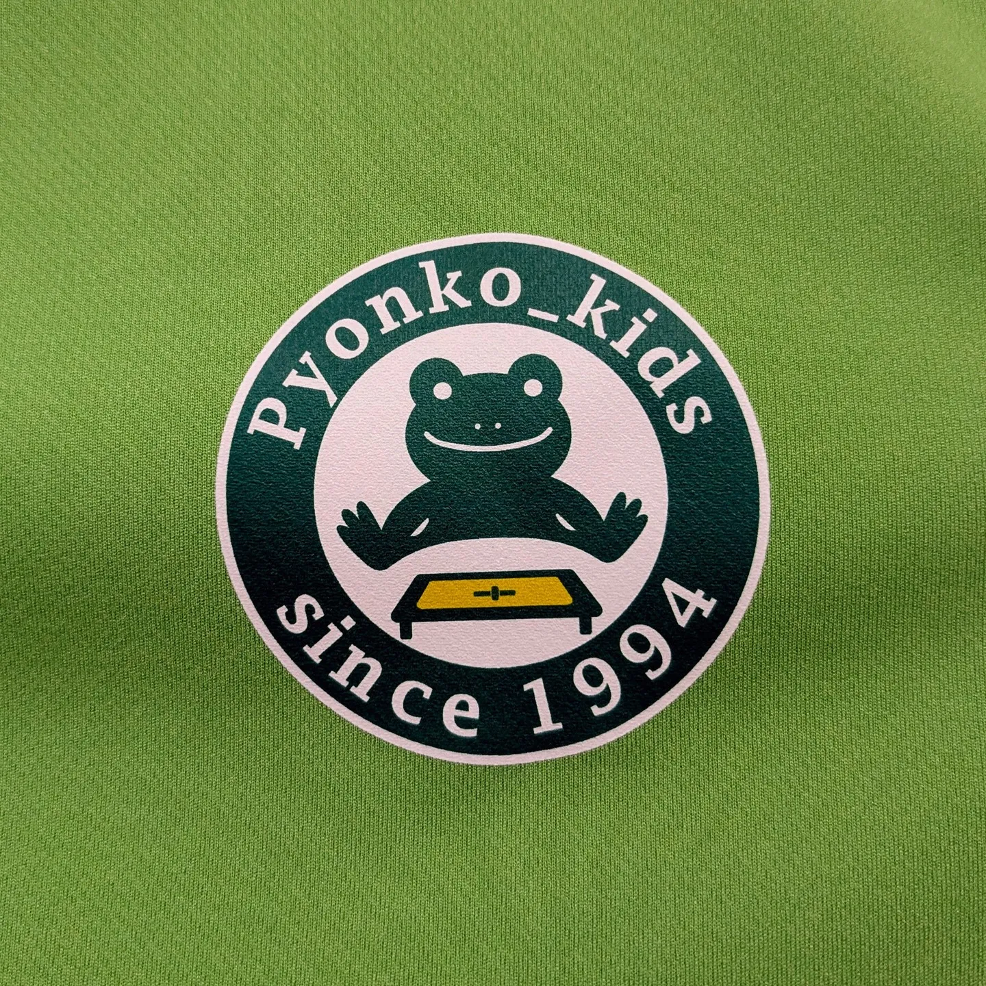 【スポーツチームのTシャツはデザインと予算が肝！プロが教える...