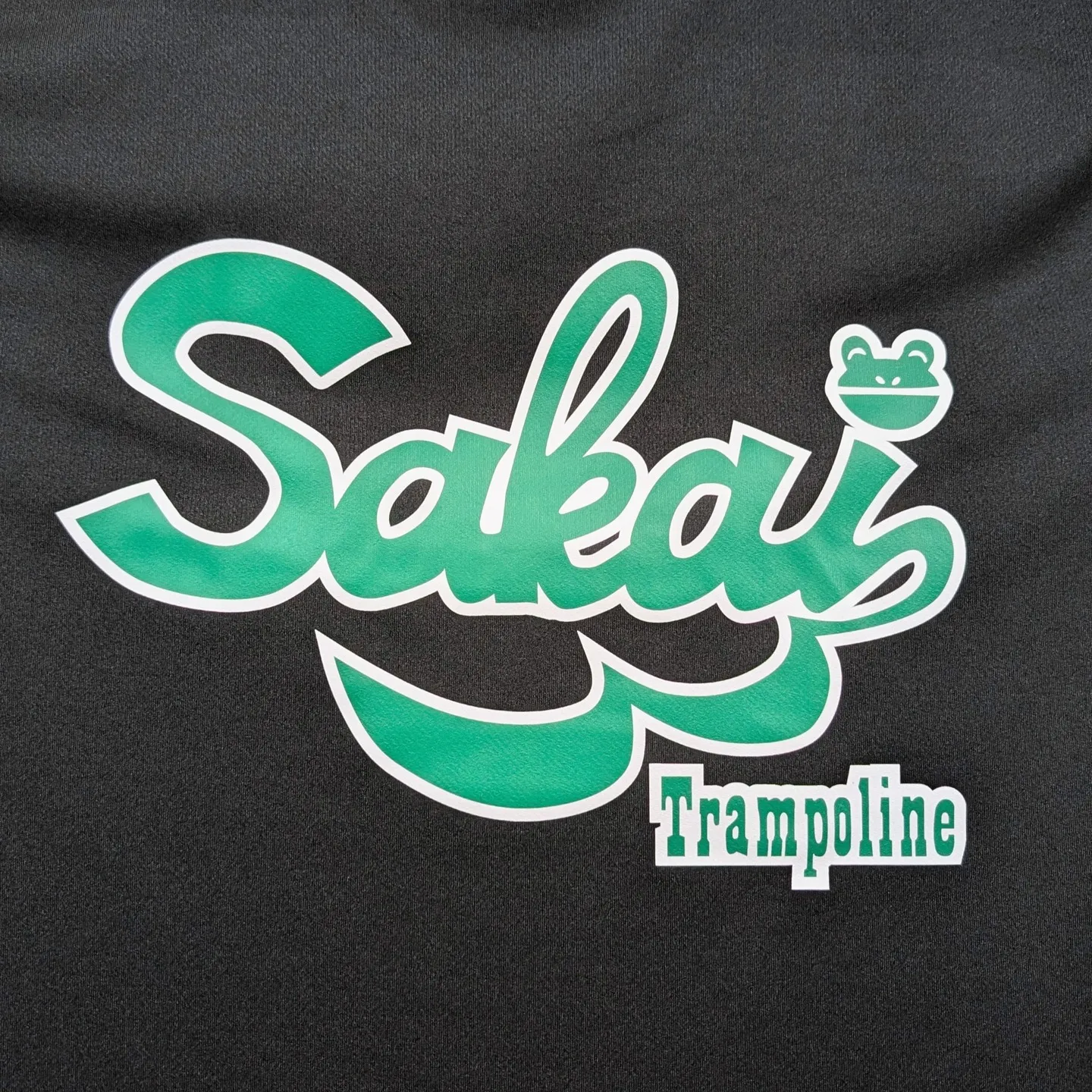 【スポーツチームのTシャツはデザインと予算が肝！プロが教える...