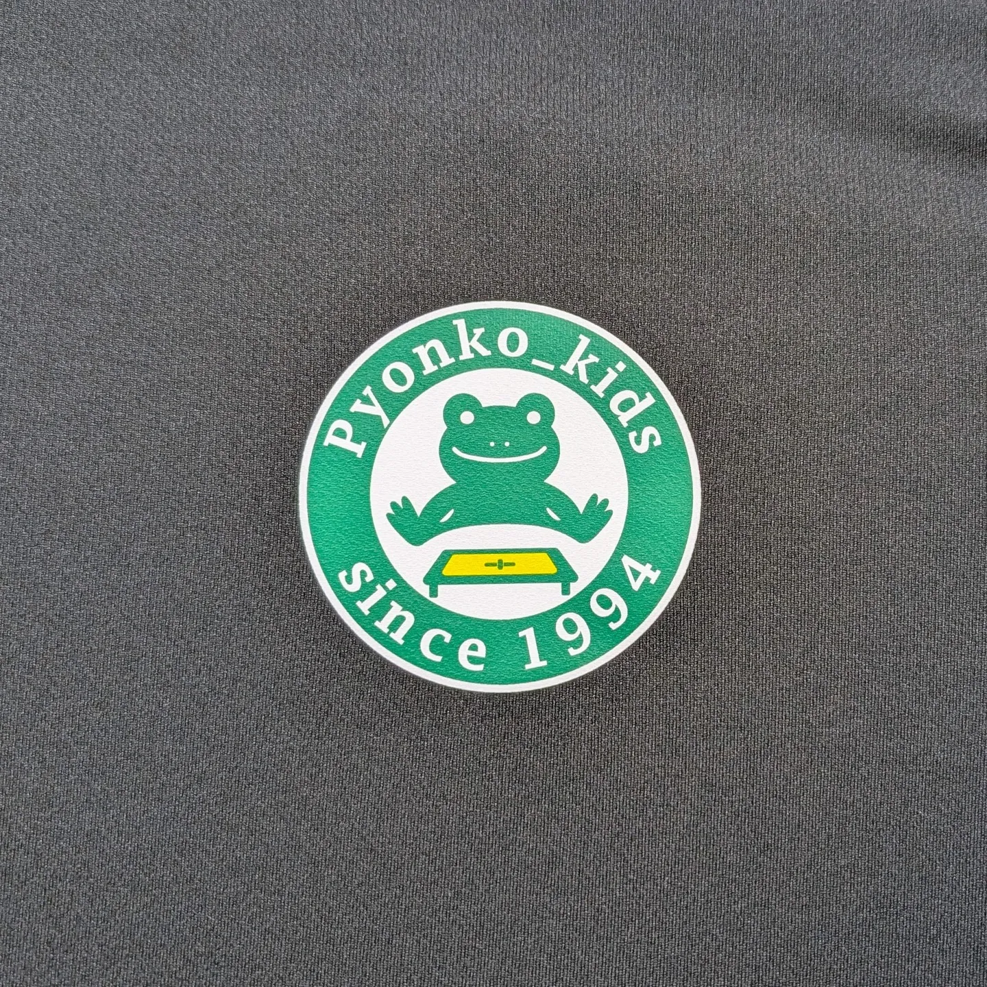 【スポーツチームのTシャツはデザインと予算が肝！プロが教える...